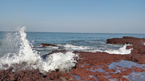 Amazing Goa