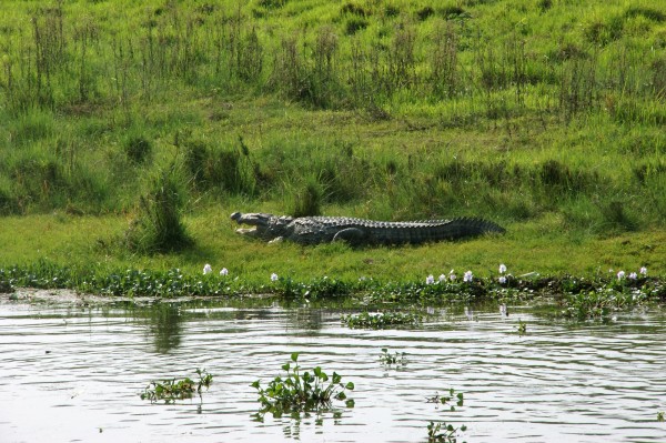 Kathmandu - Pokhara - Chitwan